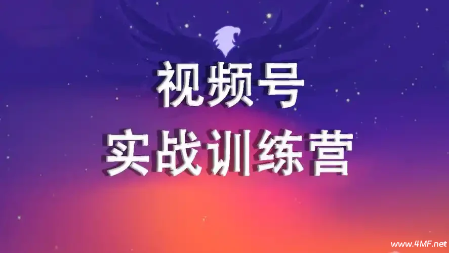 2024视频号训练营 网盘下载