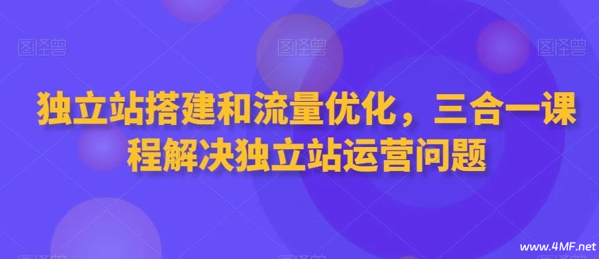 【学运营】独立站搭建和流量优化三合一课程-解决独立站运营问题(56节课)
