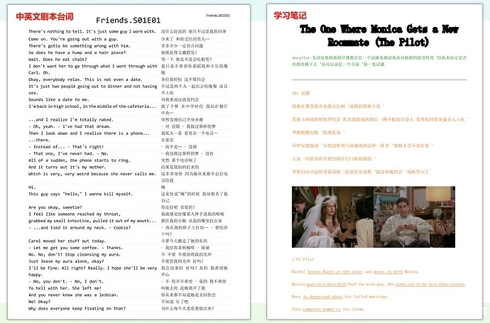 【学英语】老友记 全10季 中英文剧本台词+笔记+词汇+音频
