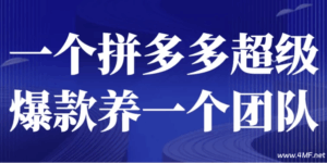 一个拼多多超级爆款养一个团队