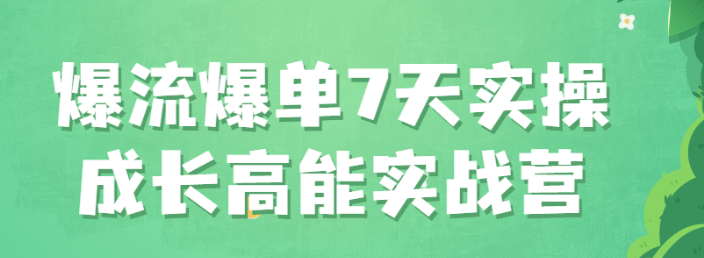 爆流爆单7天实操成长高能实战营视频教程