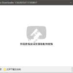DLNow Video Downloader v1.54.2025.10.05 便携版