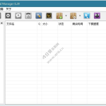 IDM下载利器 Internet Download Manager v6.42.49 中文绿色特别版