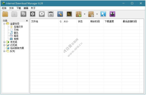 IDM下载利器 Internet Download Manager v6.42.49 中文绿色特别版