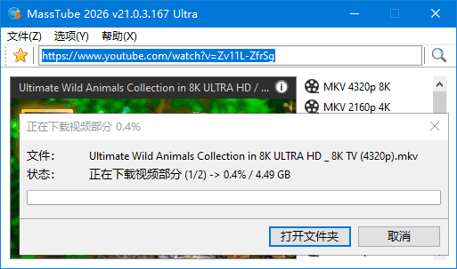MassTube(YouTube视频下载工具) 多语便携版 Ultra v21.2.1.179