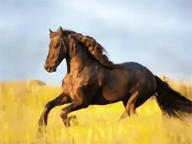 你的电视TV YourTV v2.3.9 清爽版 电视播放工具