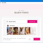 4K Tokkit(tiktok视频下载器) v25.4.0.1066 多语便携版