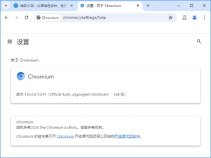 Ungoogled-Chromium v141.0.7390.65-1.1 中文绿色版