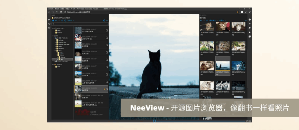 NeeView(高效图片浏览器) 中文绿色版 v44.1 / 45.0 Alpha2