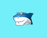 Shark007 Codecs v20.5.8 便携版|多媒体编解码器套件