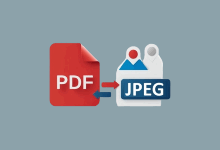 PDF转图片工具 ASCOMP PDF Imager Pro v2.011 便携版