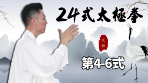 《24式太极拳》 太极拳世界冠军柴云龙讲解版