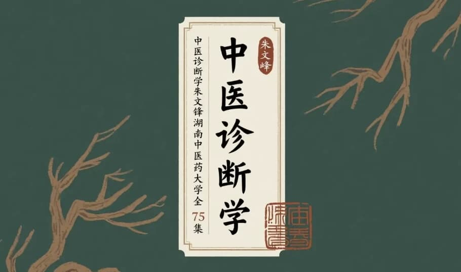 中医诊断学 朱文锋-湖南中医药大学