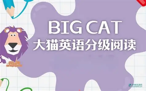 柯林斯大猫 Big Cat（点读 PDF + 音频）｜英语启蒙分级读物全库