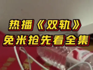 双轨全29集超前完结【4K】【完结】