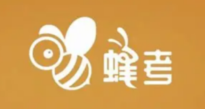 【蜂考】高斯课堂 大学期末不挂科 / 专升本 / 考研全科资源合集