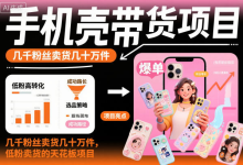 手机壳带货项目实操指南,低粉账号卖出几十万件-纯净分享