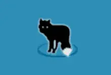 轻量级视频转换软件 MetaFox v2.6.1.4 便携版