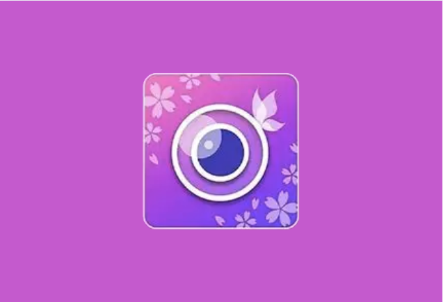 玩美相机 YouCam Perfect v6.16.7 解锁高级会员版
