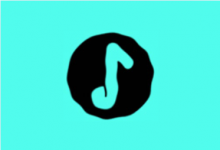 椒盐音乐 Salt Player v11.1.0 无广告纯净版 本地音乐播放器