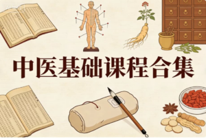 中医基础课程合集（全系列完结）