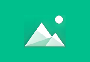 Piktures v2.24 build956 高级版 极简高效的安卓相册管理工具