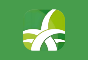 野草助手 v4.4.2 电视端应用安装神器