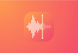 MyRecorder 录音机 v1.02.35.0303 解锁会员版