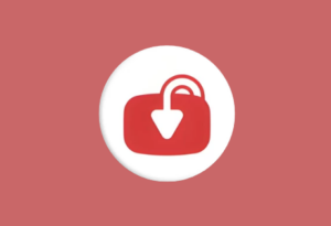 YTDLnis v1.8.7.2 官方版 多平台视频高效下载工具