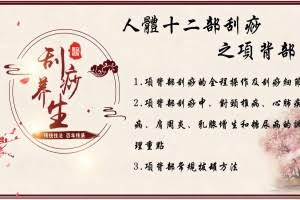 【中医课程】刘霞新版人体十二部刮痧视频课程(13集)