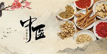 【中医课程】中医调理术 理论讲解实操手法药膳配方 讲解入门到精通