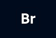 Adobe Bridge 2026 v16.0.7.36 x64 免激活完整安装版